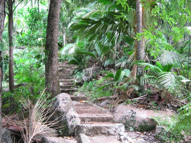 La balade s'effectue toujours dans la verdure