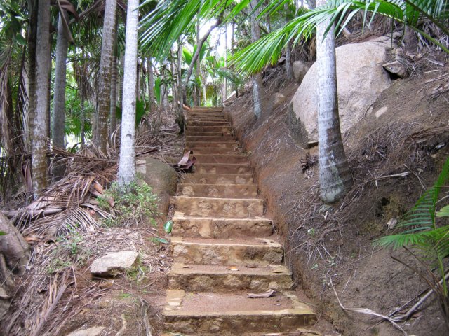 Si elles sont fortes, les marches régulières facilitent la montée