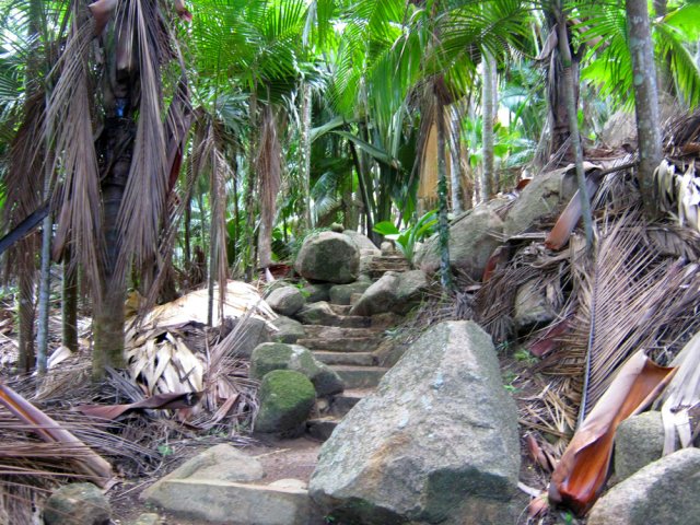 Les rochers ont été laissés sur place