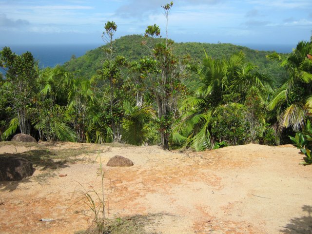 Une zone aride dénudée