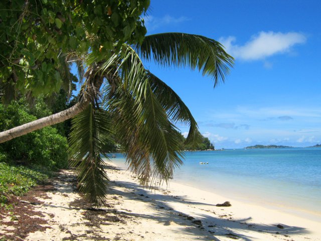 Partir à gauche vers la case du départ