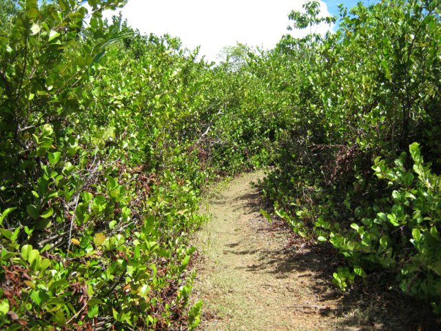Le sentier est large, facile mais écrasé de chaleur
