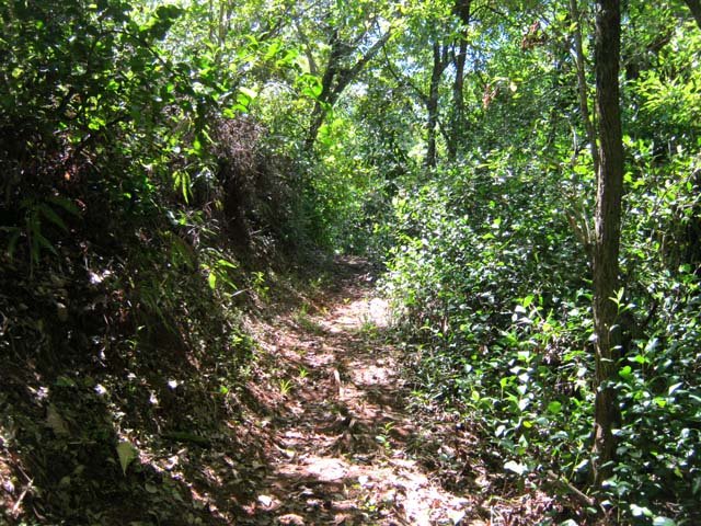 Une idée du sentier qui monte au château d'eau
