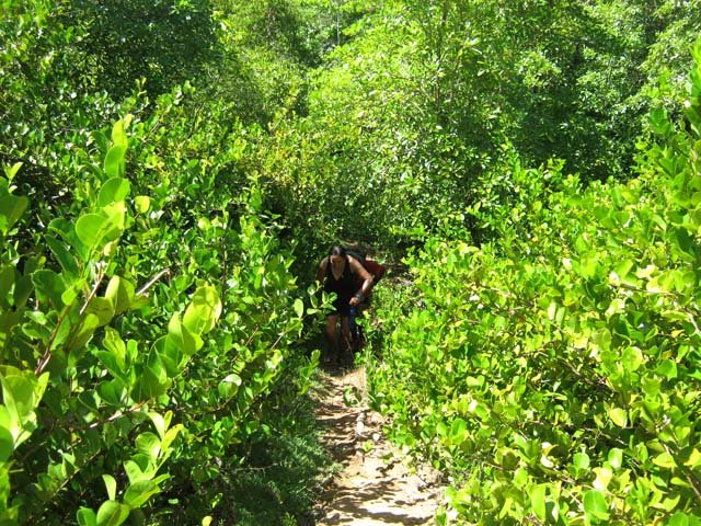 Le sentier qui remonte de la plage