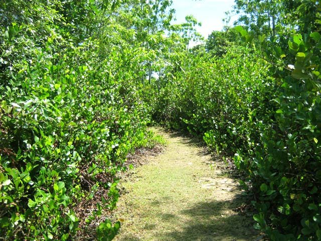 Le sentier du cimetière