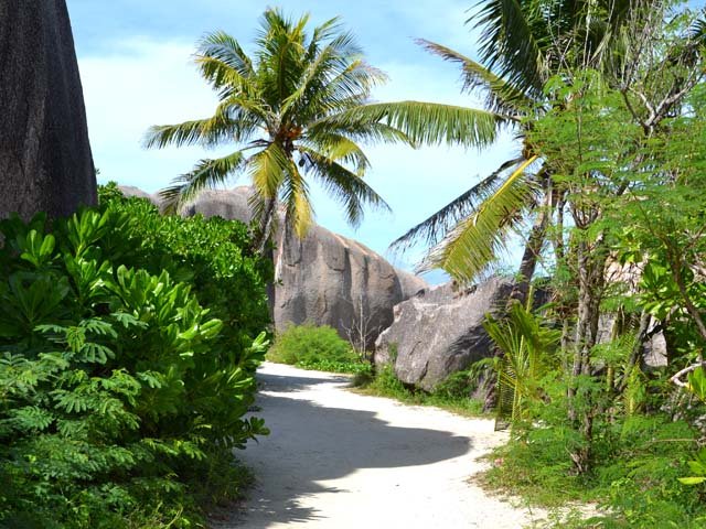Une idée du large sentier qui mène à l'Anse Source d'Argent