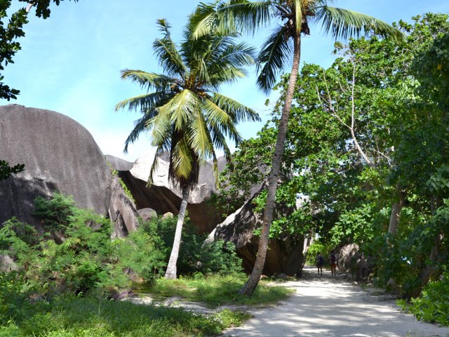 Marche facile entre terre et mer à l'ombre des cocotiers