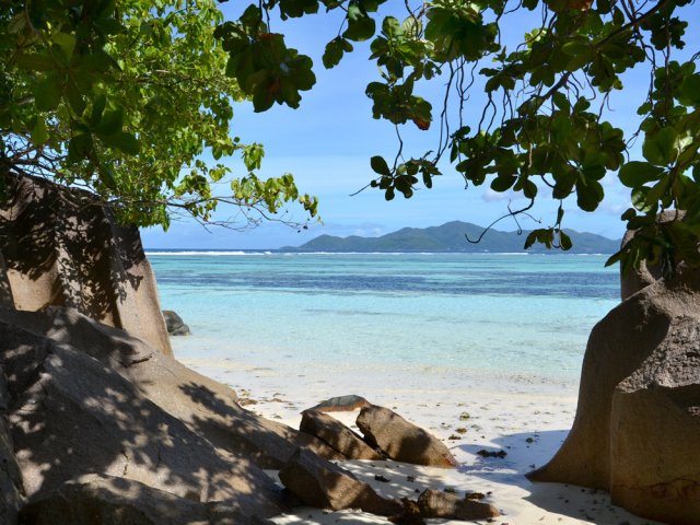 Le minéral et le végétal finissent à deux pas de la plage