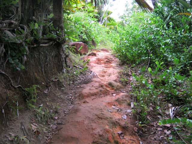 Un autre exemple de sentier durant la traversée