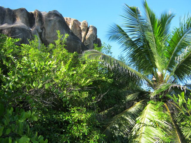 Minéral et végétal se marient bien