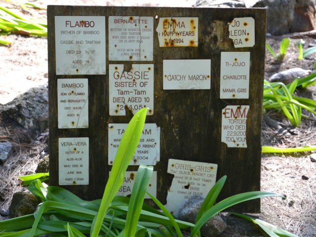 Chaque chien a sa plaque souvenir