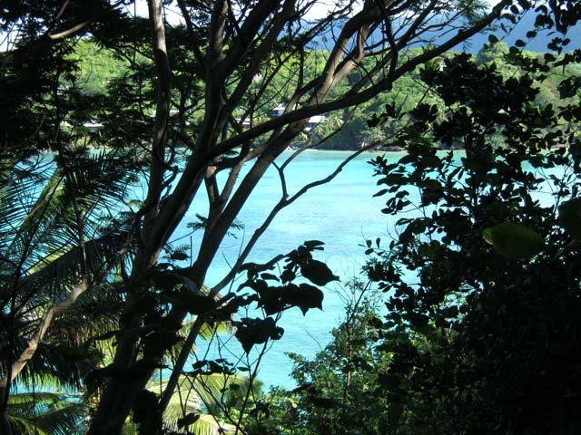 Le sentier ombragé n'est jamais loin de la mer
