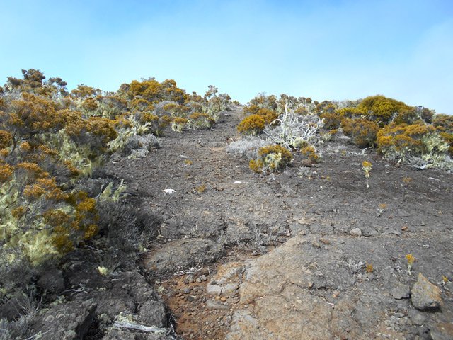 Une autre constituée essentiellement de plaques de lave