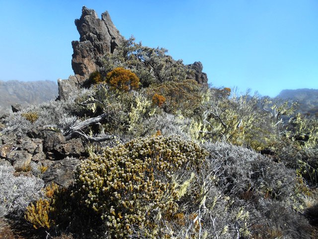 On passe au plus près de belles concrétions entourées de belles végatations