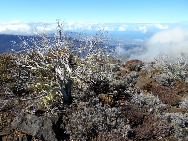 Panorama sur l'océan du côté de Saint-Pierre