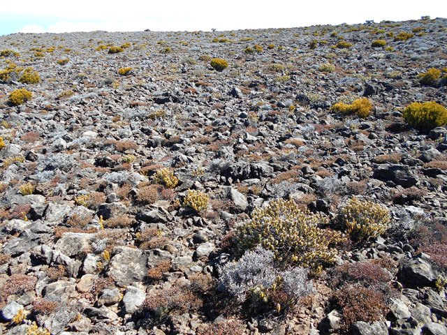 Le désert de la Planèze pour des hors sentiers brisant les chevilles