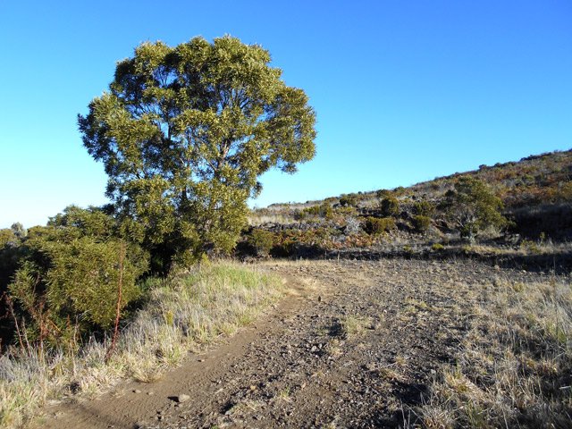 La piste du Haut Tévelave en direction des Makes, caillouteuse mais facile