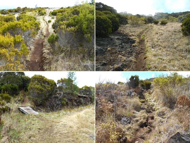 Quelques idées des raccourcis entre les lacets de la piste