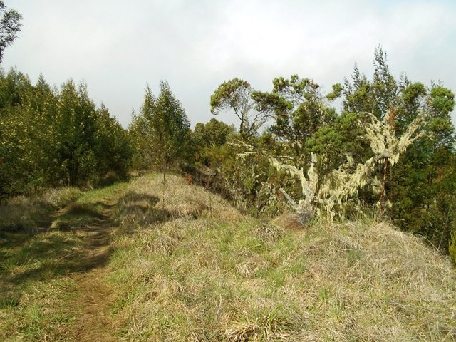 Un tronçon plus herbeux que caillouteux de la même piste