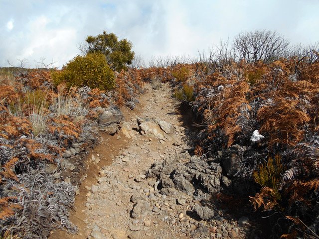 Le sentier, recouvert de petits cailloux et bordé de fougères jaunies
