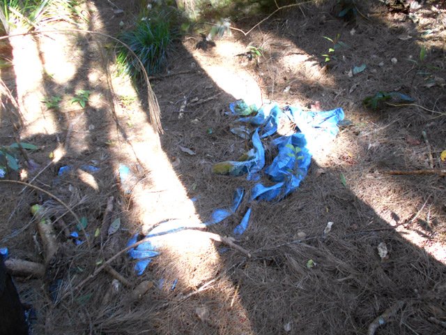 La seule portion plate de la montée a servi un jour de lieu de bivouac