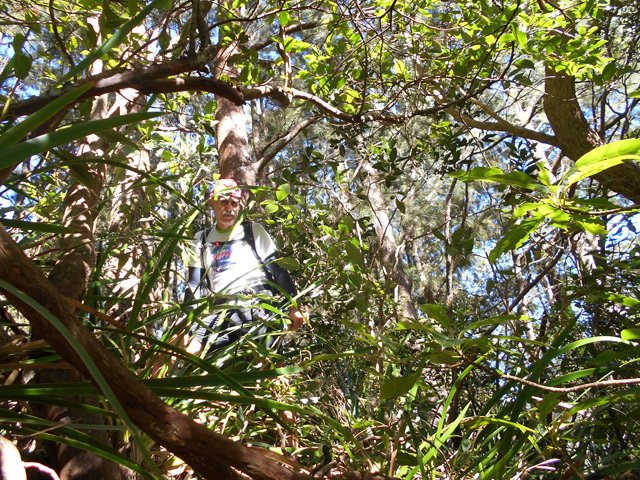 Certains endroits sont très touffus mais on garde le sentier en repérant les branches cassées