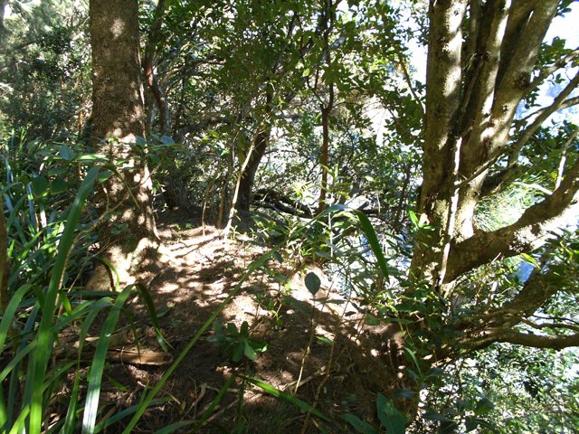 Entre deux ravines profondes, le sentier utilise toute la surface de la crête
