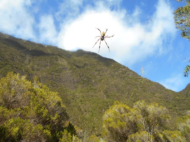 La Pointe de l'Îlet à Cordes, certainement l'emplacement d'un ancien îlet à redécouvrir ?