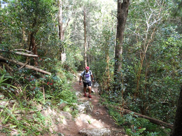 Une des parties en montée faible