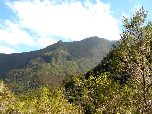 Le Cap Edouard et derrière, le rempart vers Camp Mussard et Notre Dame de la Paix
