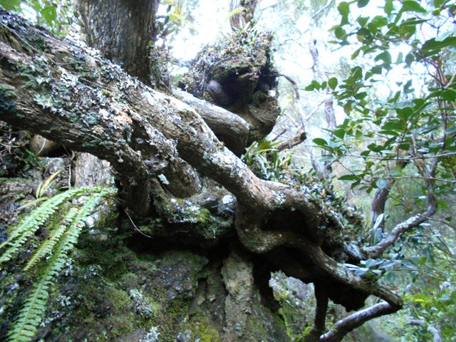 Passage obligé et caractéristique qui confirme le bon itinéraire en début de montée