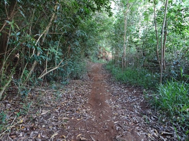 Sentier de bonne qualité depuis le stade de Bérive