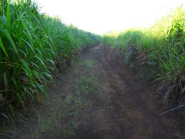 Une large piste terreuse, glissante par temps de pluie