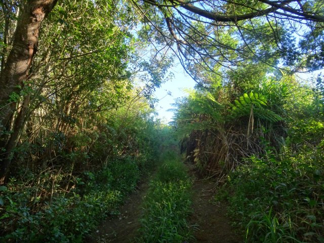 Une autre, moins agricole