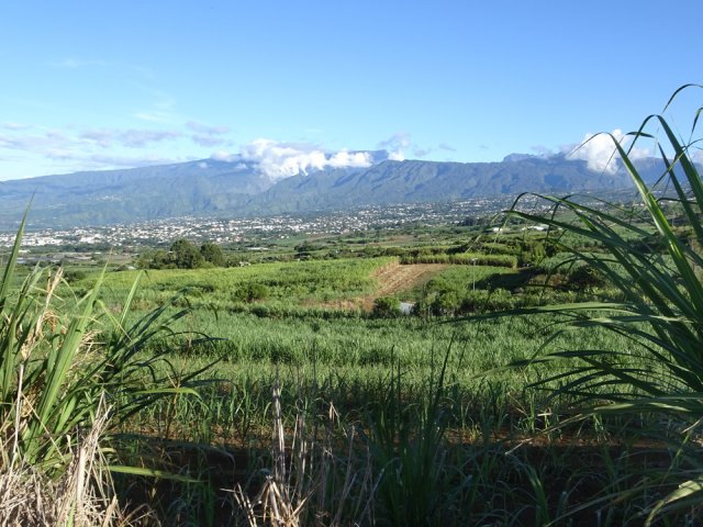 Nombreux points de vue au-dessus des cannes