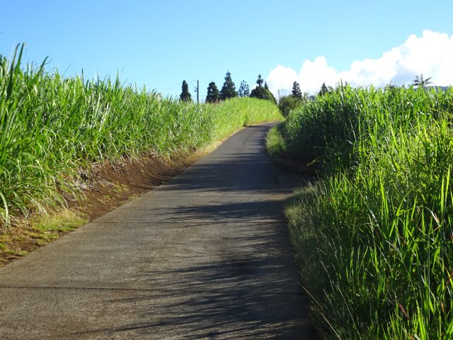 La route à l'approche de la Ligne d'Equerre