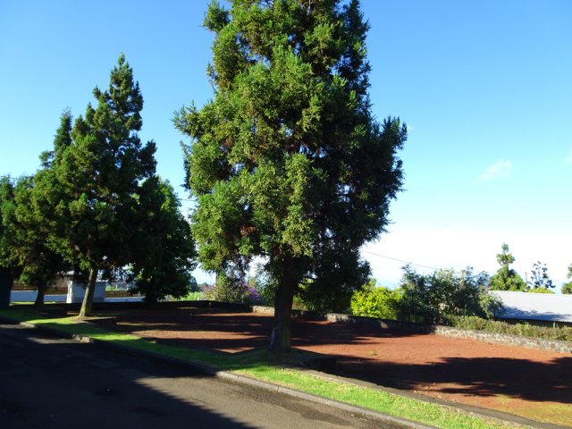 Le boulodrome du village