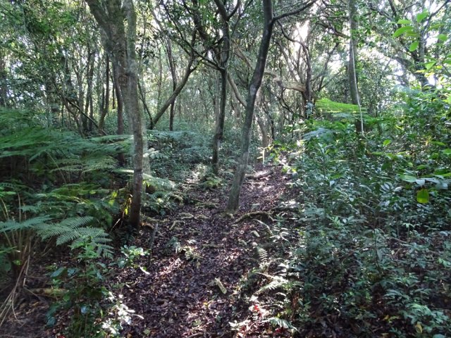 Le sentier existe toujours mais a perdu de son attrait