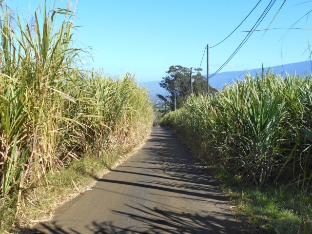 La pente est agréable sur la petite route tranquille