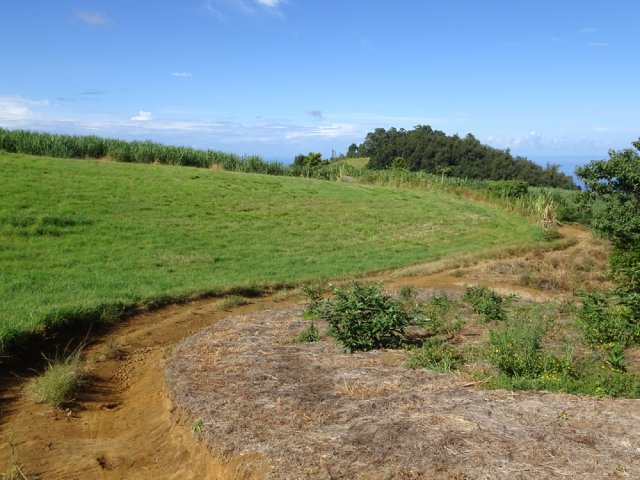 Prendre la piste partant à gauche vers une prairie