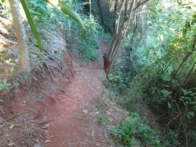 Une descente très glissante avant de partir à droite vers les pistes