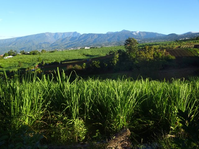 Premiers points de vue sur les pitons de l'île