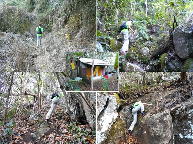 Quelques exemples du sentier remontant vers la crête. 100m plats et le reste en forte pente