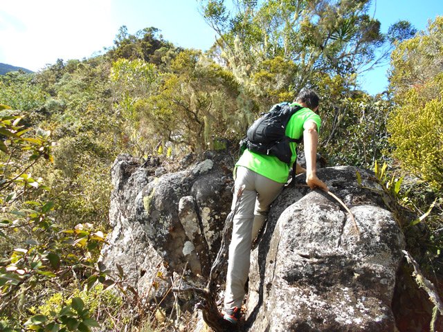 Passage délicat sur une racine vieillissante