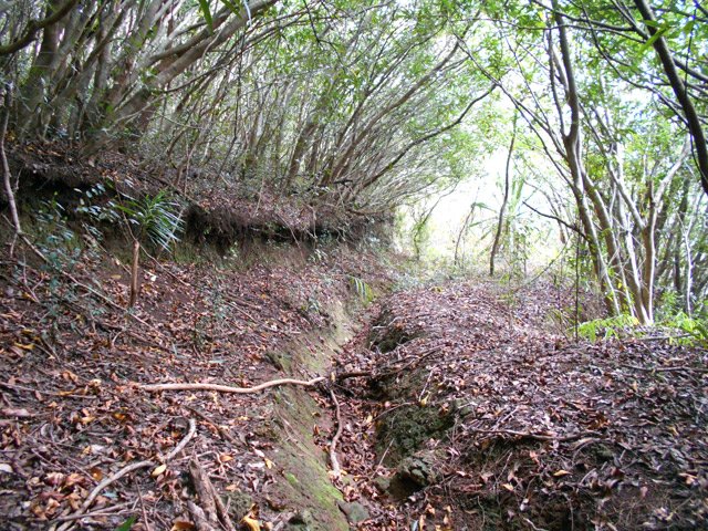 L'ancienne piste utilisée au début du raccourci vers la grotte de la Kalla