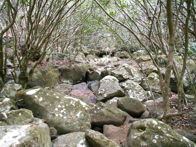 Une idée du fond très rocheux du Bras Marie