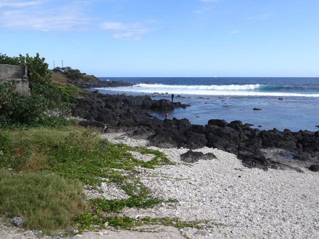 Les pêcheurs tentent de prendre des poissons de roche