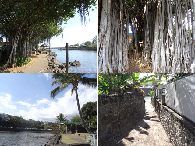 Les abords de la Rivière d'Abord !