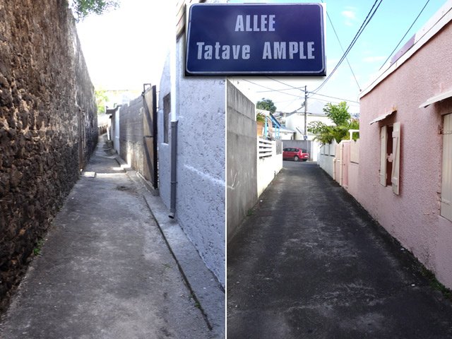 La longue allée Tatave Ample qui rejoint l'Avenue de l'Amiral Lacaze
