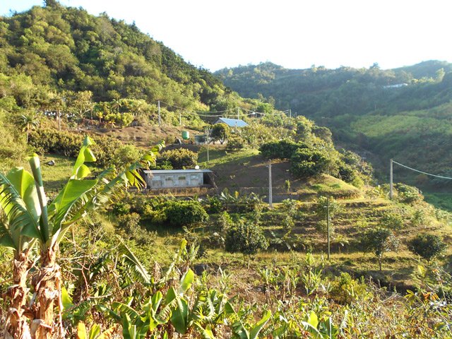 Les maisons dispersées de Bois Blanc sont isolées de tout